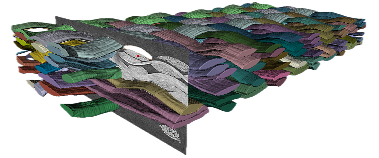 TomoSAM segmentation preview
